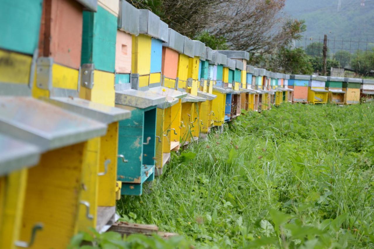 Agriturismo Dalla Natura La Salute Giustino ภายนอก รูปภาพ